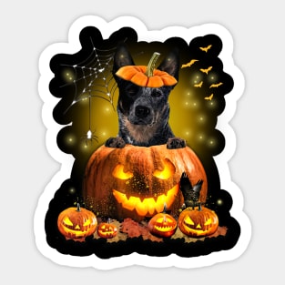 Blue Heeler Spooky Halloween Pumpkin Dog Head Sticker